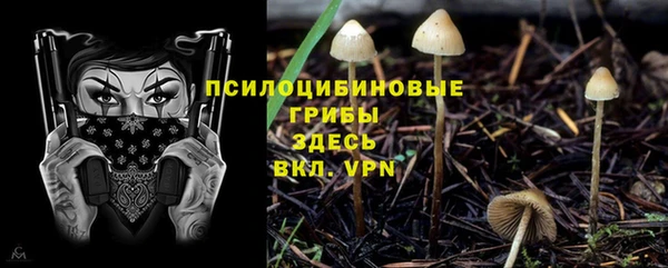 2c-b Приозерск