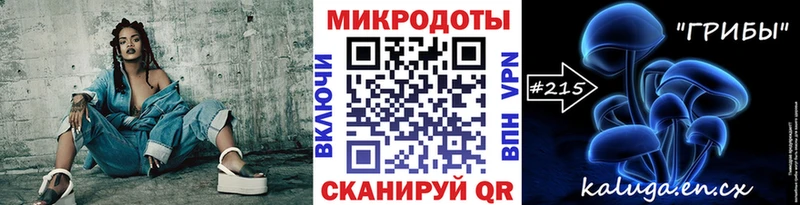 Псилоцибиновые грибы Psilocybine cubensis  Сорск 